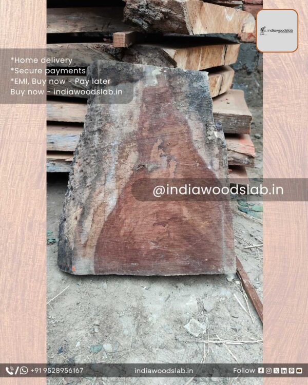 Live edge wood slabs in India. @indiawoodslab +91 9528956167