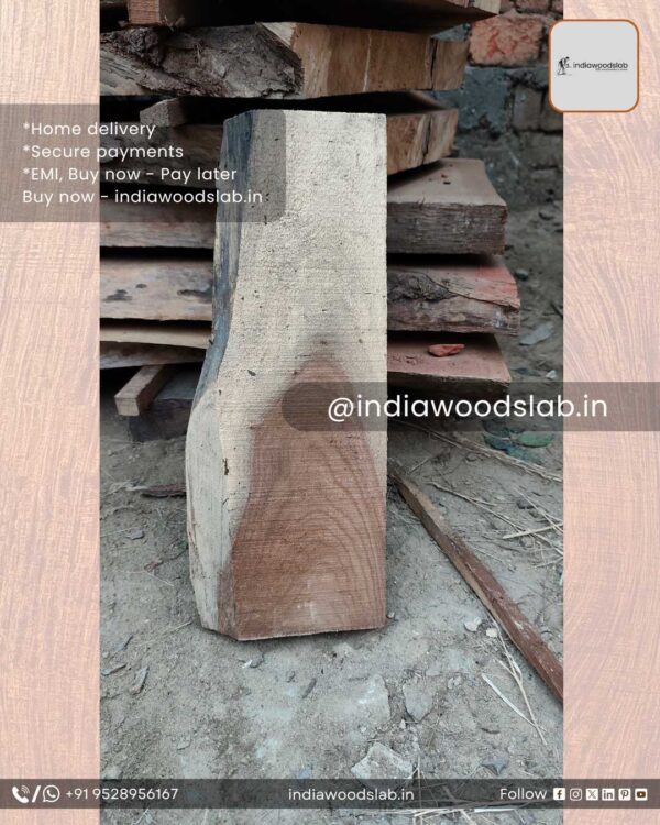 Live edge wood slabs in India. @indiawoodslab +91 9528956167