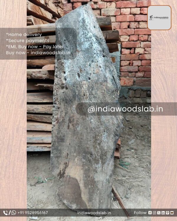 Live edge wood slabs in India. @indiawoodslab +91 9528956167