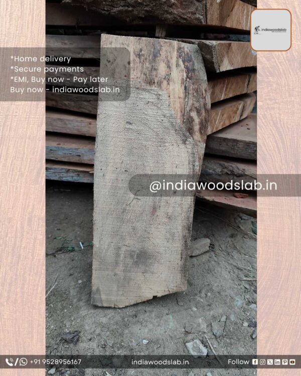 Live edge wood slabs in India. @indiawoodslab +91 9528956167