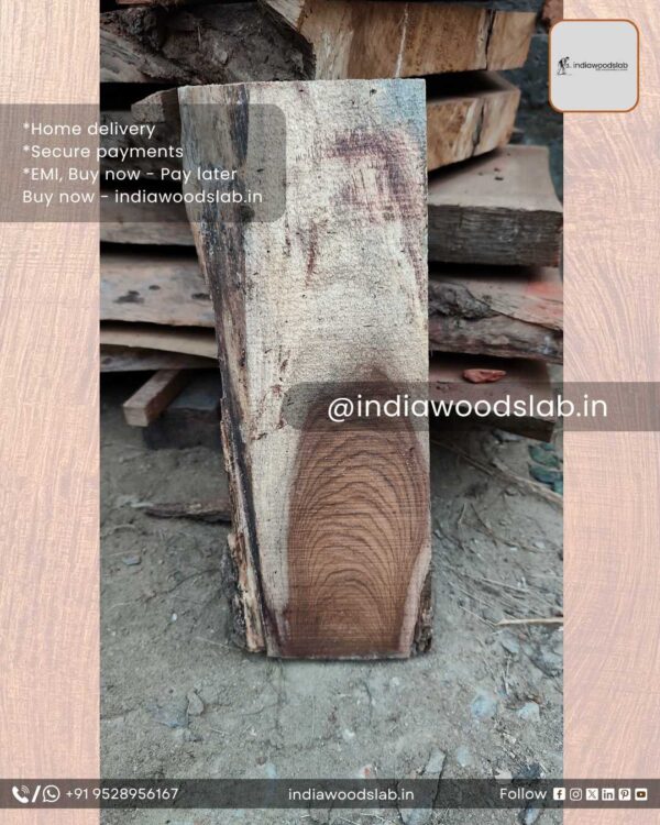 Live edge wood slabs in India. @indiawoodslab +91 9528956167
