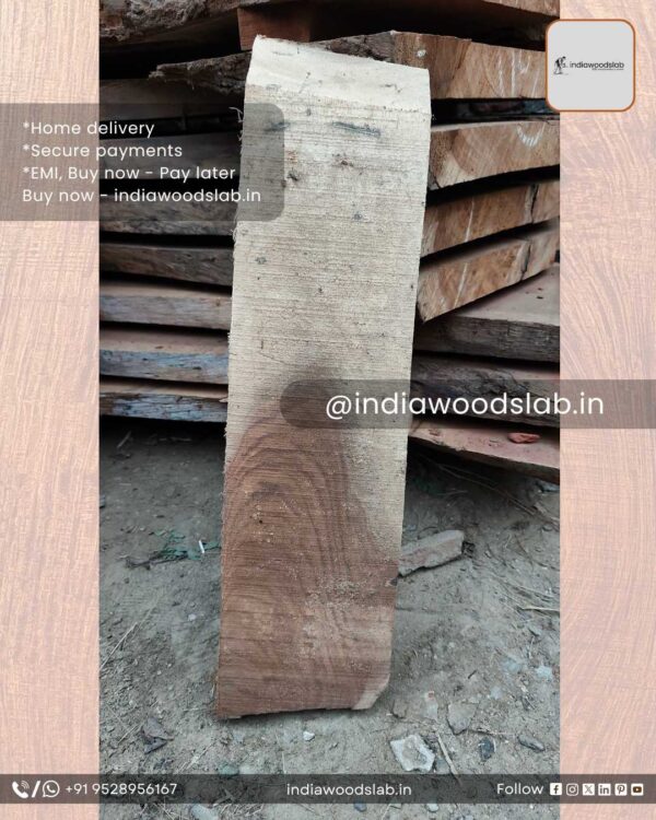 Live edge wood slabs in India. @indiawoodslab +91 9528956167