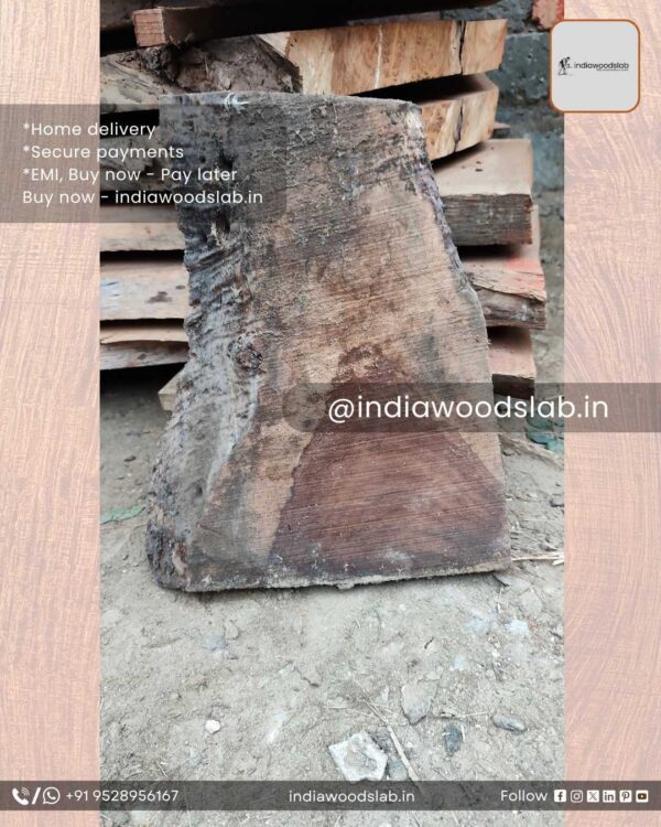Live edge wood slabs in India. @indiawoodslab +91 9528956167