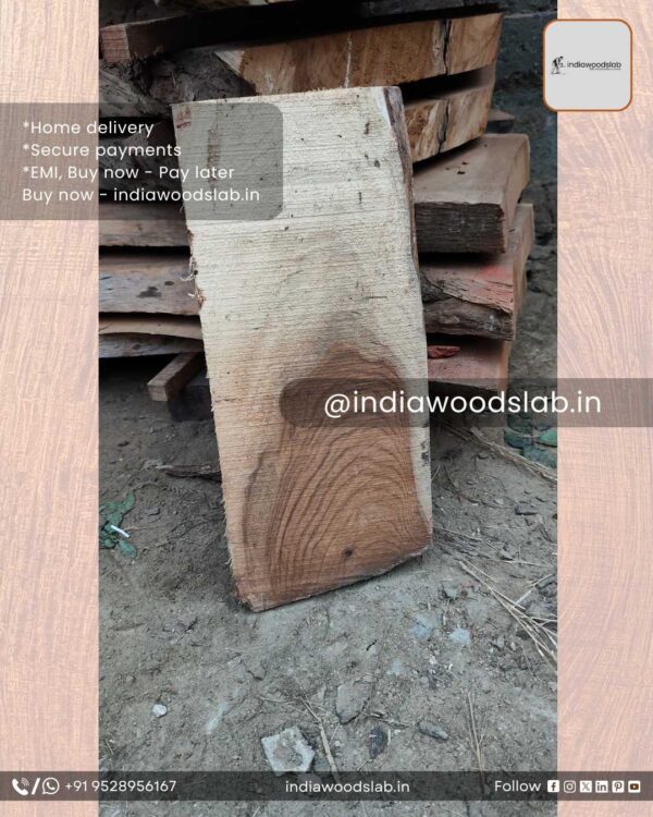 Live edge wood slabs in India. @indiawoodslab +91 9528956167