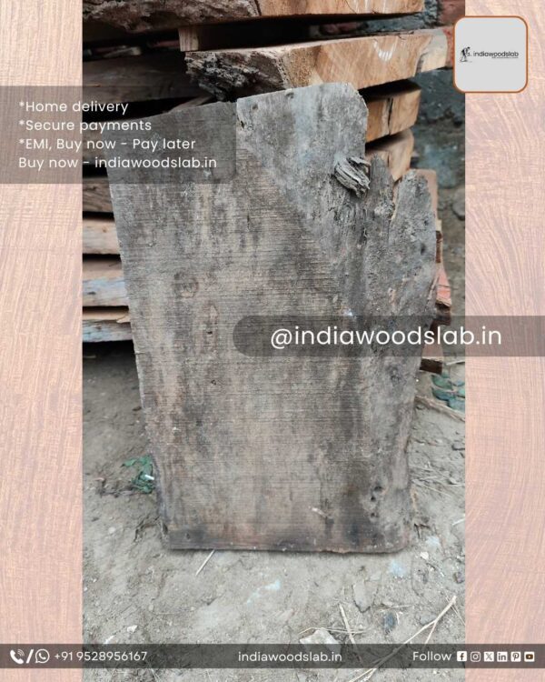 Live edge wood slabs in India. @indiawoodslab +91 9528956167