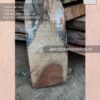 Live edge wood slabs in India. @indiawoodslab +91 9528956167