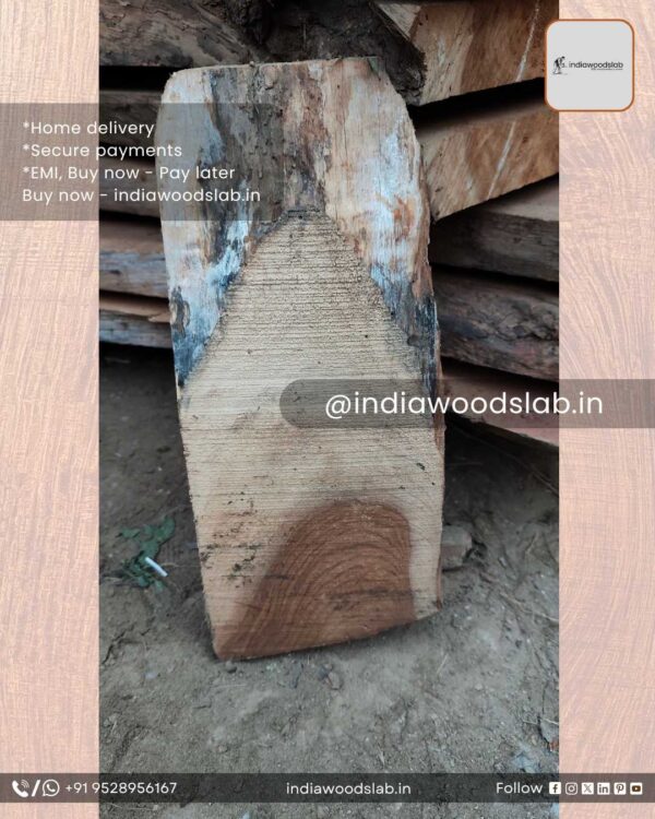 Live edge wood slabs in India. @indiawoodslab +91 9528956167