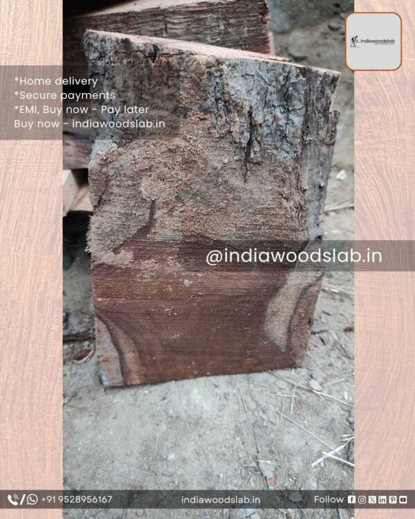 Live edge wood slabs in India. @indiawoodslab +91 9528956167