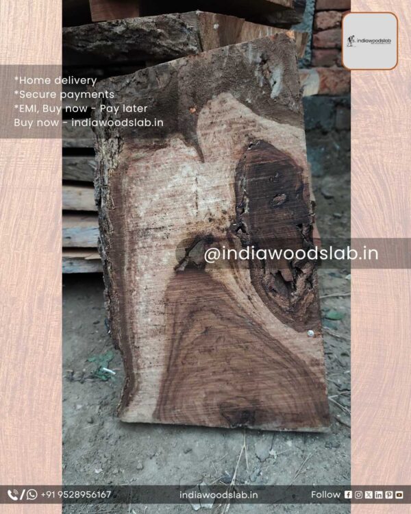 Live edge wood slabs in India. @indiawoodslab +91 9528956167