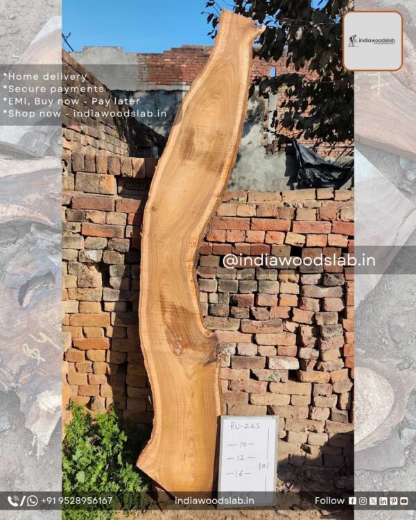 Live edge wood slabs in India. @indiawoodslab +91 9528956167