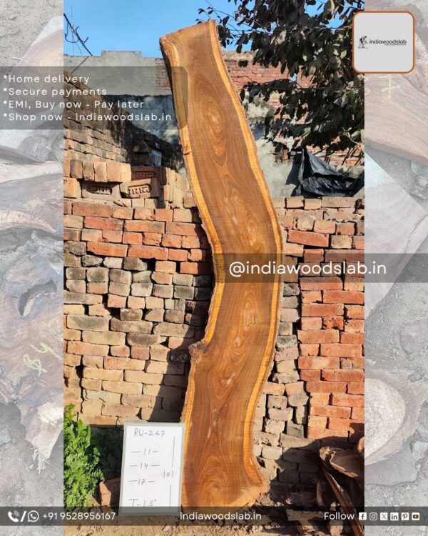 Live edge wood slabs in India. @indiawoodslab +91 9528956167
