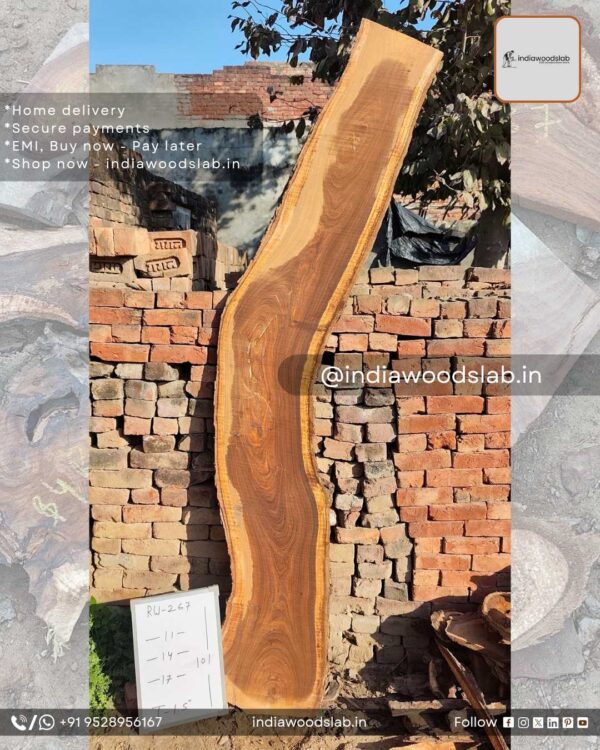 Live edge wood slabs in India. @indiawoodslab +91 9528956167
