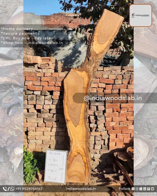 Live edge wood slabs in India. @indiawoodslab +91 9528956167