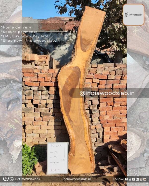 Live edge wood slabs in India. @indiawoodslab +91 9528956167