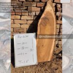Live edge wood slabs in India. @indiawoodslab +91 9528956167