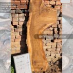 Live edge wood slabs in India. @indiawoodslab +91 9528956167