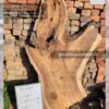 Live edge wood slabs in India. @indiawoodslab +91 9528956167