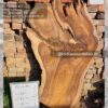 Live edge wood slabs in India. @indiawoodslab +91 9528956167