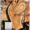 Live edge wood slabs in India. @indiawoodslab +91 9528956167