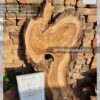 Live edge wood slabs in India. @indiawoodslab +91 9528956167