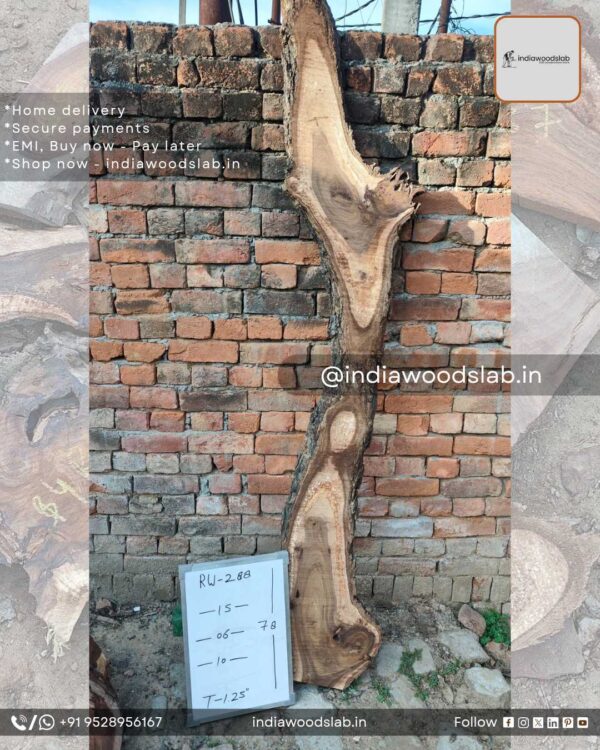 Live edge wood slabs in India. @indiawoodslab +91 9528956167