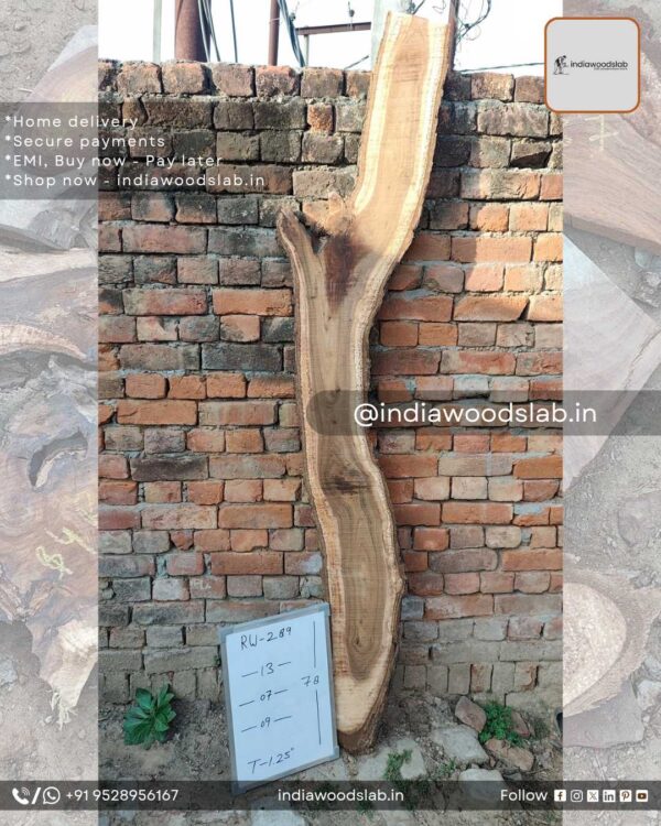 Live edge wood slabs in India. @indiawoodslab +91 9528956167