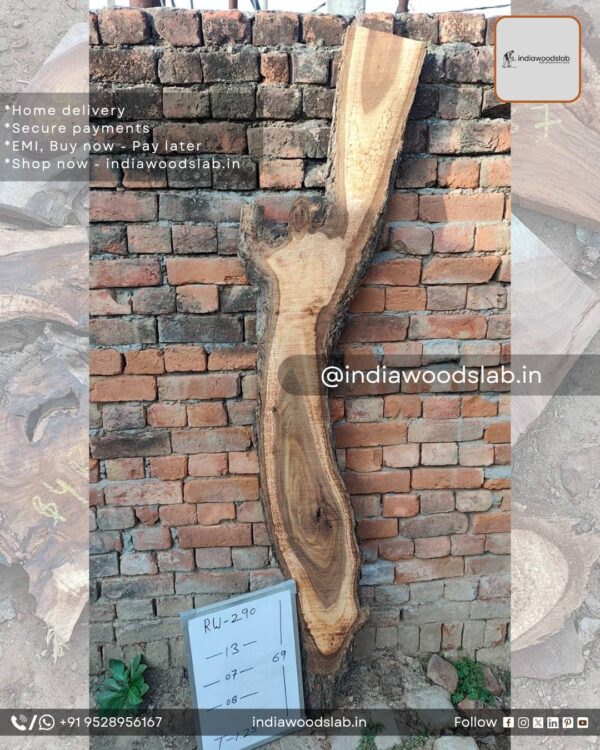 Live edge wood slabs in India. @indiawoodslab +91 9528956167