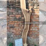 Live edge wood slabs in India. @indiawoodslab +91 9528956167
