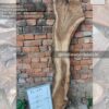 Live edge wood slabs in India. @indiawoodslab +91 9528956167
