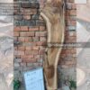 Live edge wood slabs in India. @indiawoodslab +91 9528956167