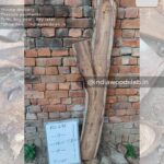 Live edge wood slabs in India. @indiawoodslab +91 9528956167