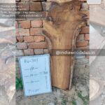 Live edge wood slabs in India. @indiawoodslab +91 9528956167