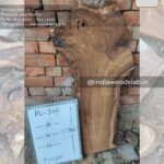 Live edge wood slabs in India. @indiawoodslab +91 9528956167