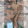 Live edge wood slabs in India. @indiawoodslab +91 9528956167