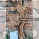 Live edge wood slabs in India. @indiawoodslab +91 9528956167
