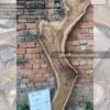 Live edge wood slabs in India. @indiawoodslab +91 9528956167
