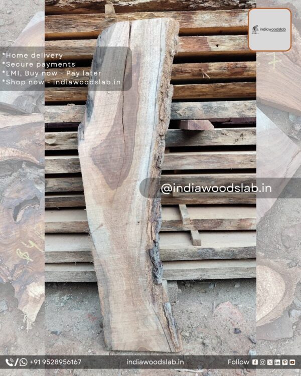 Live edge wood slabs in India. @indiawoodslab +91 9528956167