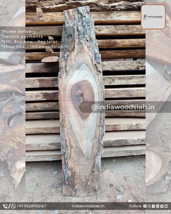 Live edge wood slabs in India. @indiawoodslab +91 9528956167
