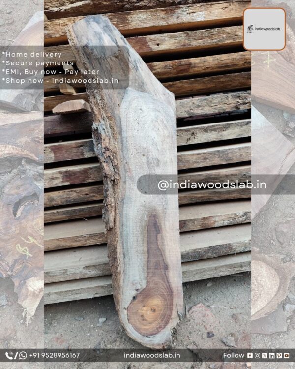 Live edge wood slabs in India. @indiawoodslab +91 9528956167