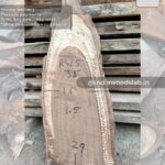 Live edge wood slabs in India. @indiawoodslab +91 9528956167