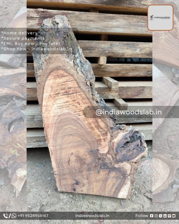 Live edge wood slabs in India. @indiawoodslab +91 9528956167