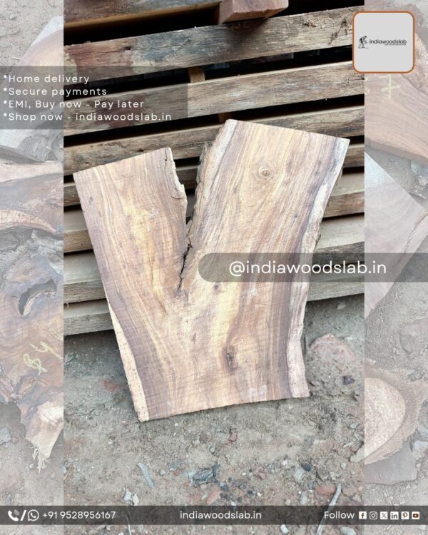 Live edge wood slabs in India. @indiawoodslab +91 9528956167