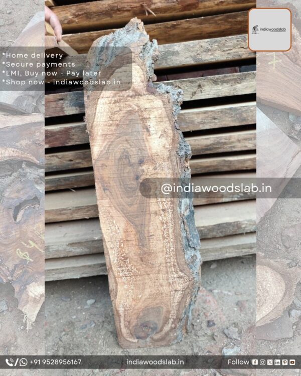 Live edge wood slabs in India. @indiawoodslab +91 9528956167