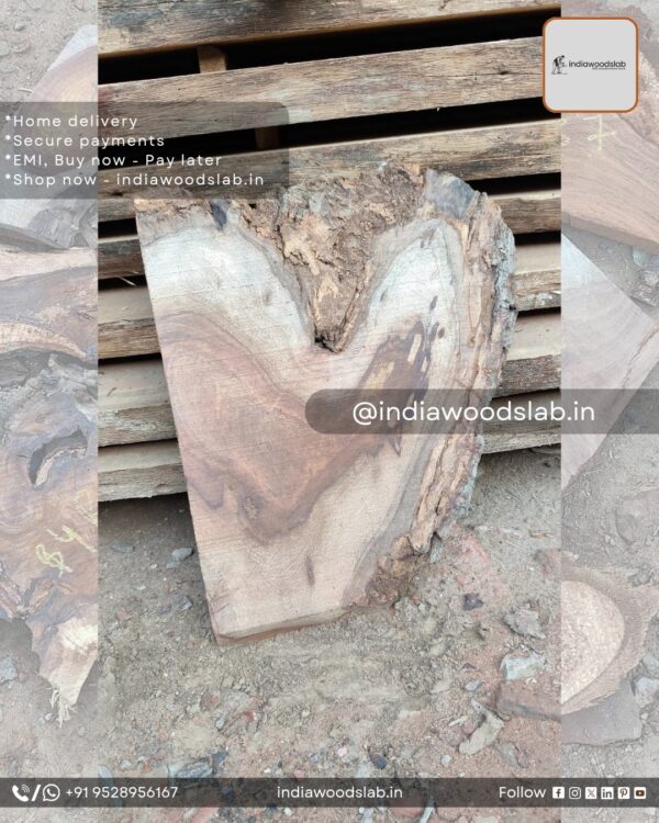 Live edge wood slabs in India. @indiawoodslab +91 9528956167