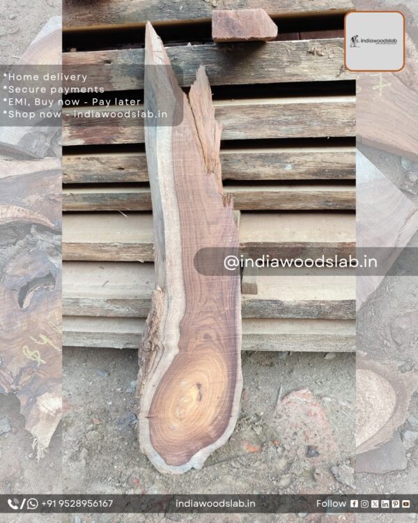 Live edge wood slabs in India. @indiawoodslab +91 9528956167