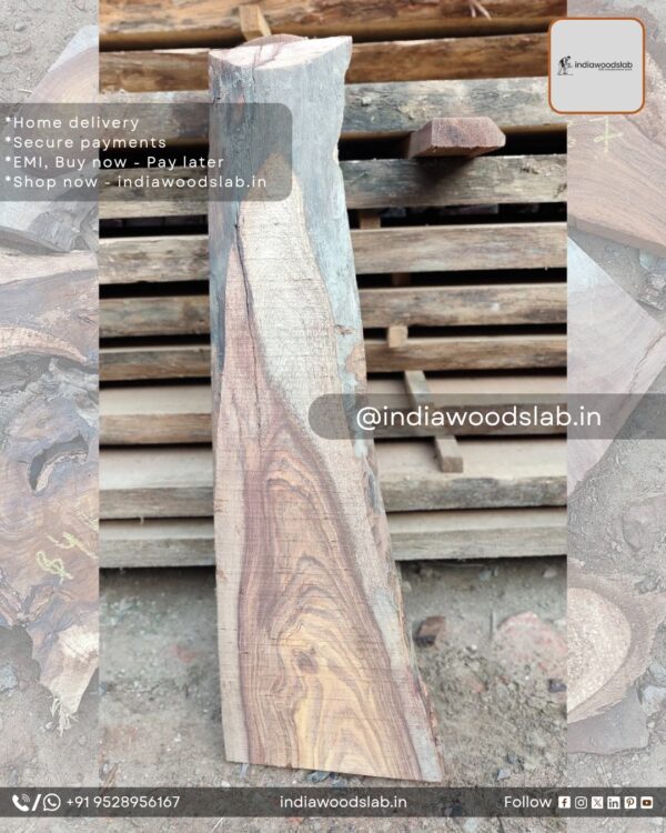 Live edge wood slabs in India. @indiawoodslab +91 9528956167