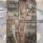 Live edge wood slabs in India. @indiawoodslab +91 9528956167