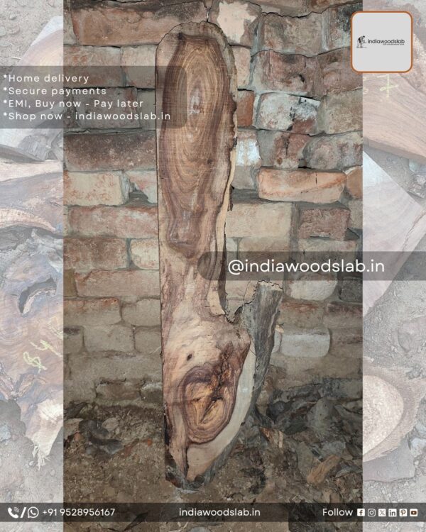 Live edge wood slabs in India. @indiawoodslab +91 9528956167