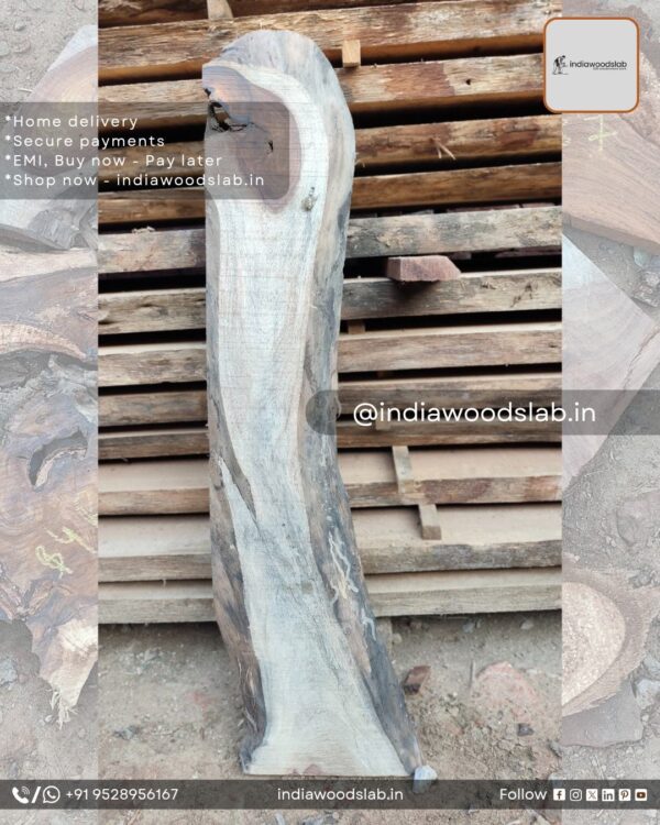 Live edge wood slabs in India. @indiawoodslab +91 9528956167