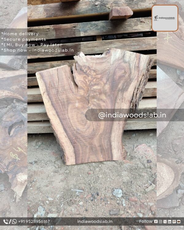 Live edge wood slabs in India. @indiawoodslab +91 9528956167